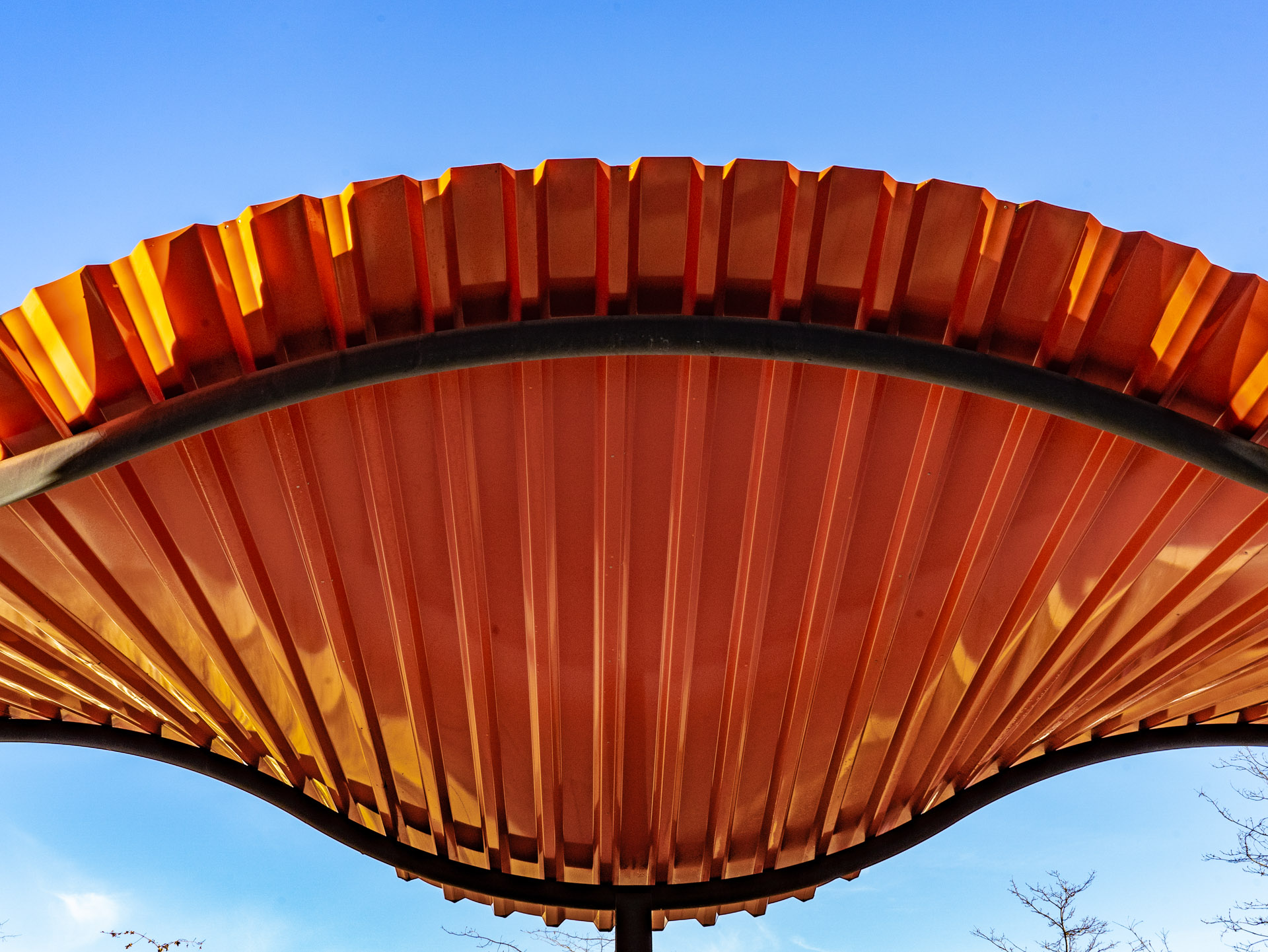Orange Fächerstruktur